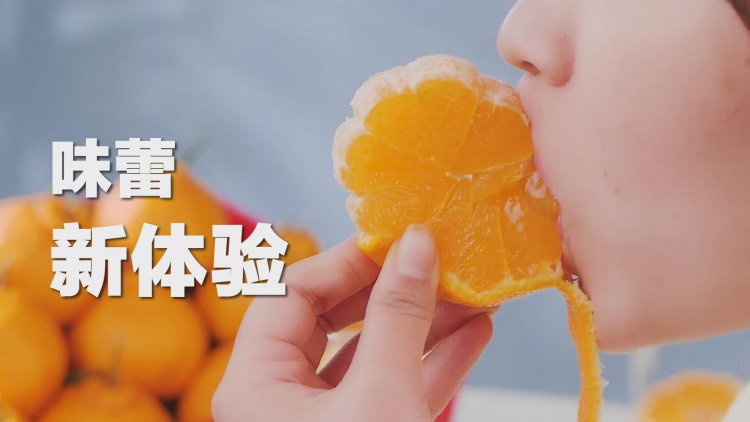 丹棱不知火 北緯30度的味覺奇跡